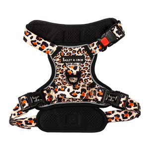 Trail & Glow® Leopard Print Dog Harness - Wild One.