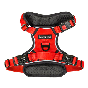 Trail & Glow® Dog Harness - The Red One.
