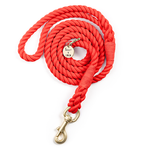 rope dog lead uk