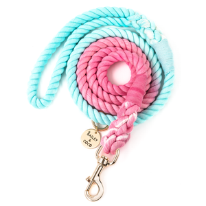Rope Dog Lead - Ombre Cyan & Pink.