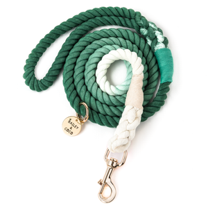 Rope Dog Lead - Ombre Green & White.