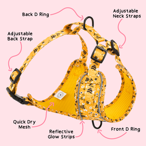 Adjustable Glow Harness® - Pupfluencer Little Queen